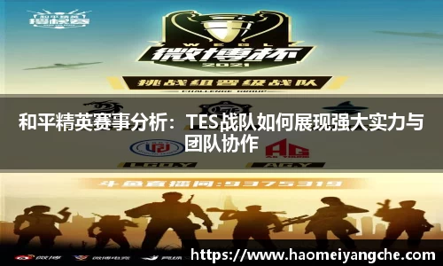 和平精英赛事分析：TES战队如何展现强大实力与团队协作