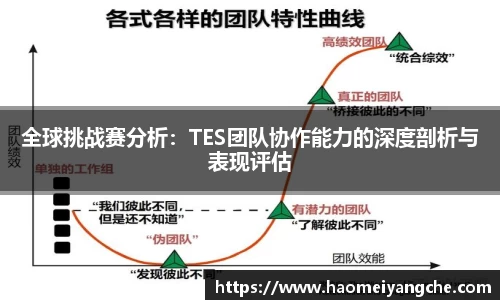 全球挑战赛分析：TES团队协作能力的深度剖析与表现评估