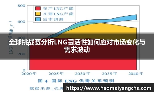 全球挑战赛分析LNG灵活性如何应对市场变化与需求波动