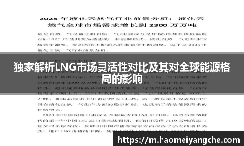 独家解析LNG市场灵活性对比及其对全球能源格局的影响