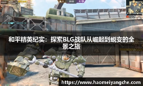 和平精英纪实：探索BLG战队从崛起到蜕变的全景之旅