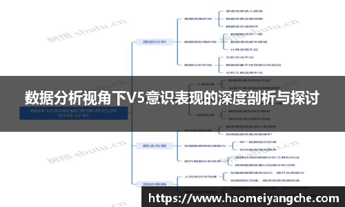数据分析视角下V5意识表现的深度剖析与探讨