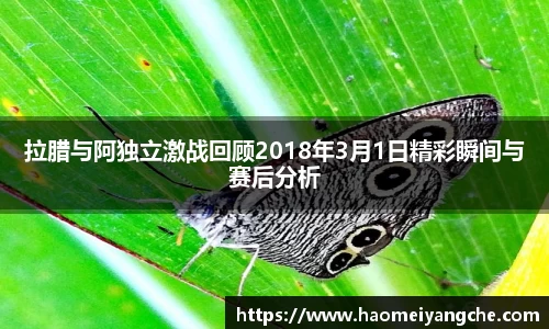 星空综合官网