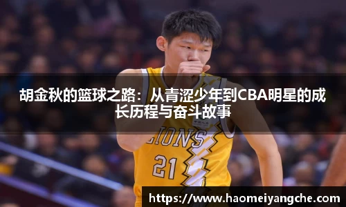 星空综合官网