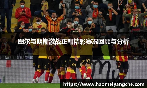 星空综合官网