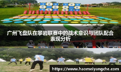 星空综合官网首页